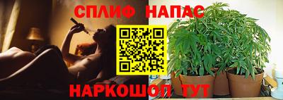 a pvp Конаково