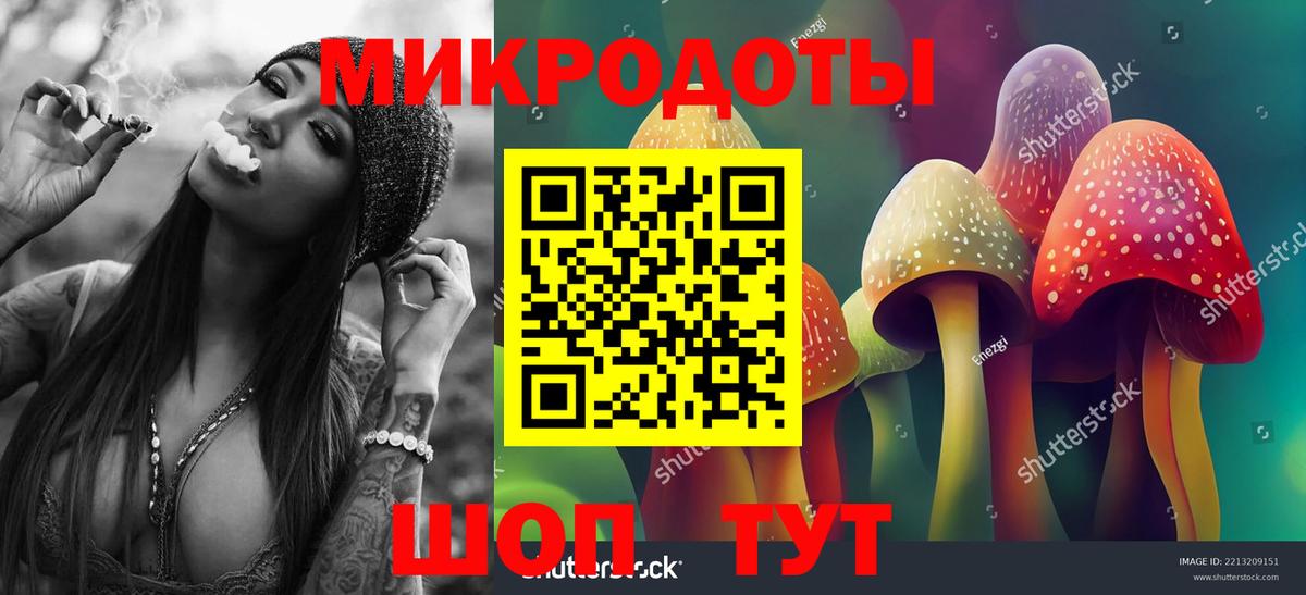 Галлюциногенные грибы MAGIC MUSHROOMS Кимовск