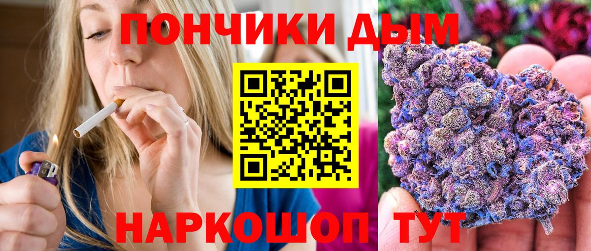 Марихуана семена  Бошки Шишки SATIVA & INDICA  Вход с VPN  Кимовск 